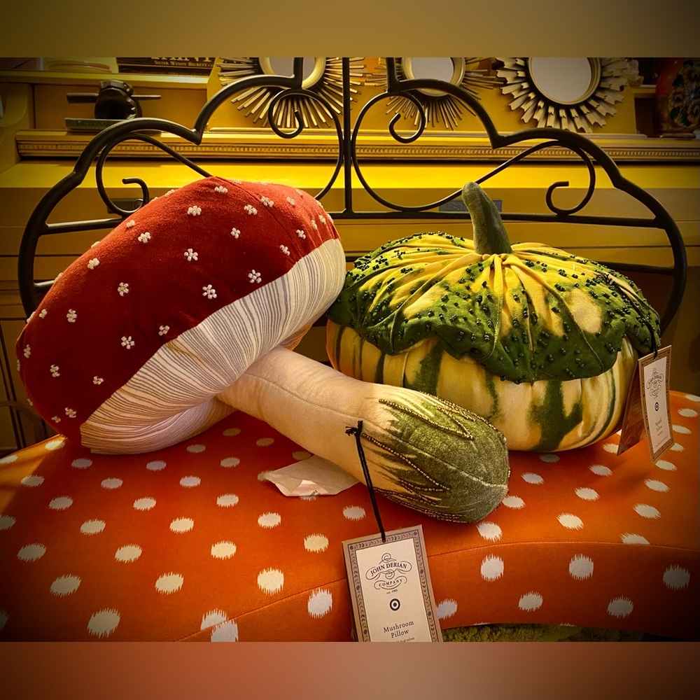 John Derian Mushroom & Squash bundle Target